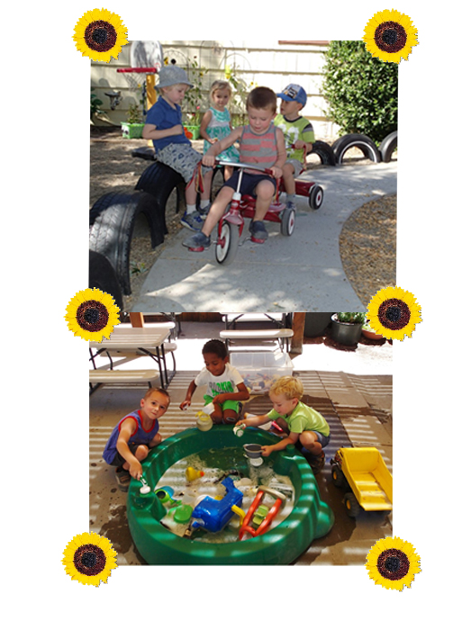 Sunflower fun