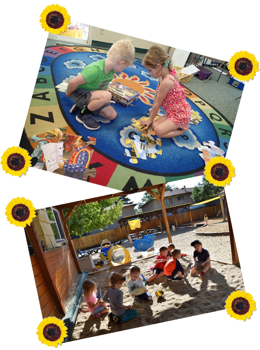 Sunflower Fun!