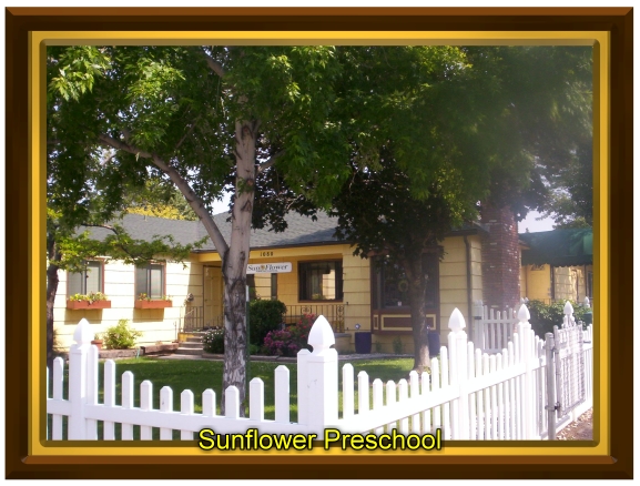 Sunflower Preschool Reno Nevada